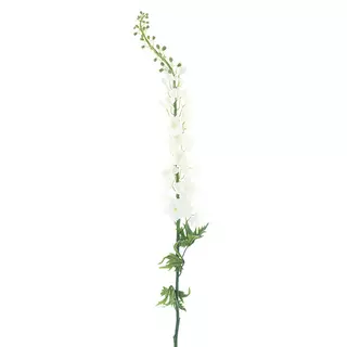 Giant Delphinium spray linus cream 137 cm