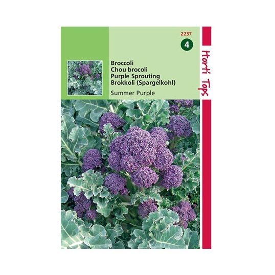 Horti Tops Broccoli Summer Purple - afbeelding 1