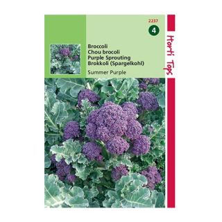 Horti Tops Broccoli Summer Purple - afbeelding 1
