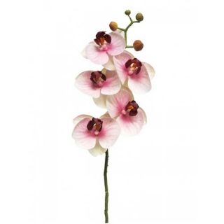 Kunst Phalaenopsis Orchidee Bora 58 cm - Roze