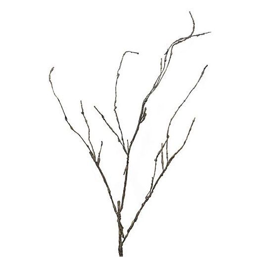 Kunst Wood Twig Cordata - 95cm