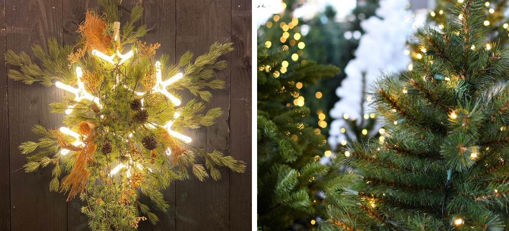 Kerstverlichting kopen? | Tuincentrum De Boet | Bestel online | DeBoet.nl