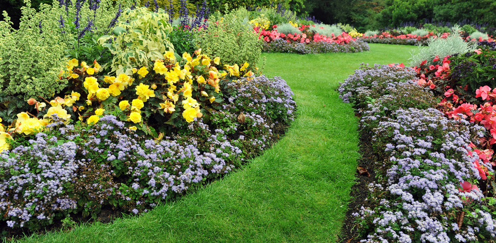 Tuinplanten | Ga de tuin in! | Kom naar tuincentrum De Boet | DeBoet.nl