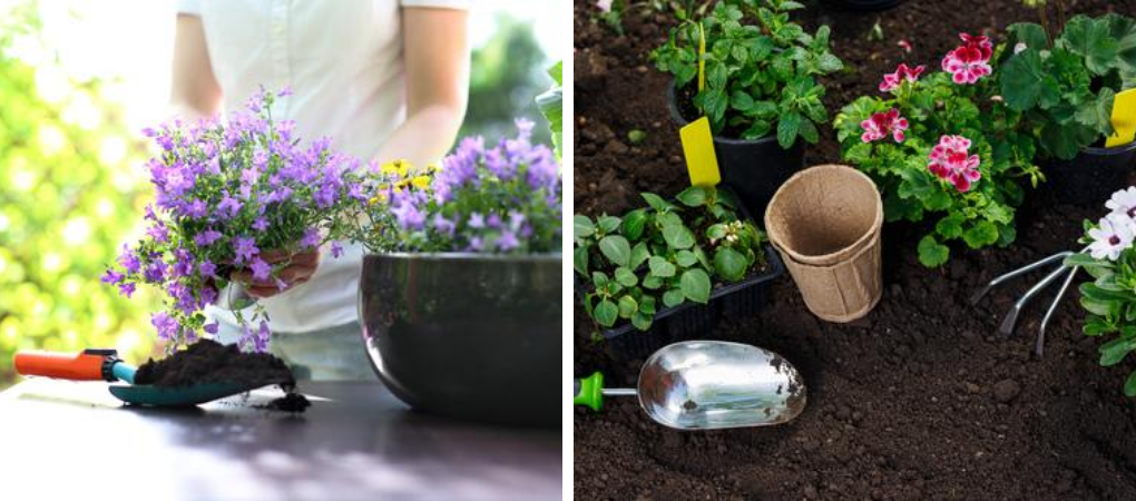 Zorg goed voor je planten en bloemen met de plantverzorging van Tuincentrum De Boet | DeBoet.nl