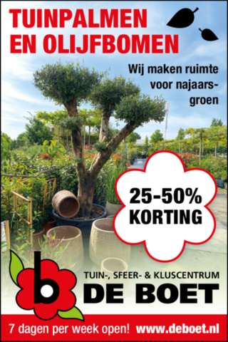 25-50% korting tuinpalmen & olijfbomen