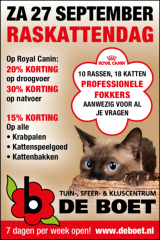 Raskattendag