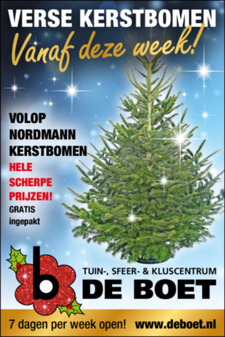 Verse kerstbomen!