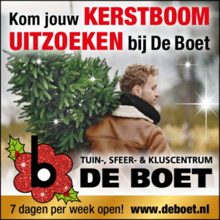 Kom jou kerstboom uitzoeken!
