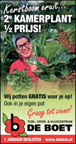 2e kamerplant halve prijs!