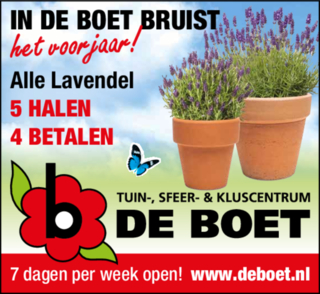 Lavendel 5 halen 4 betalen