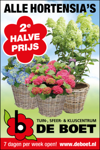 2e halve prijs!