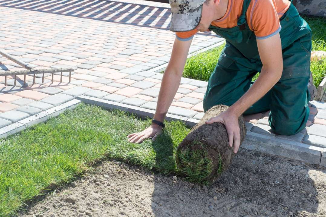 Graszoden tuincentrum de Boet