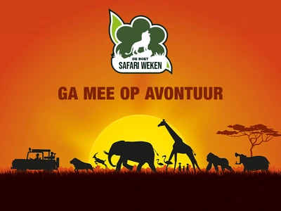 Ga op avontuur tijdens De Boet Safari Weken