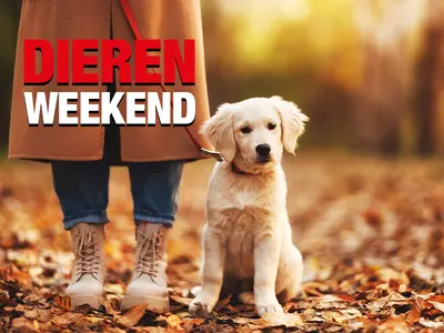 Dierenweekend 2026