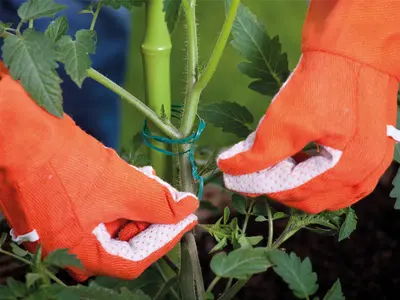 Herfst: het plantseizoen