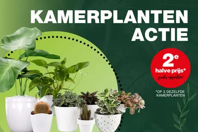 Kamerplanten 2e halve prijs