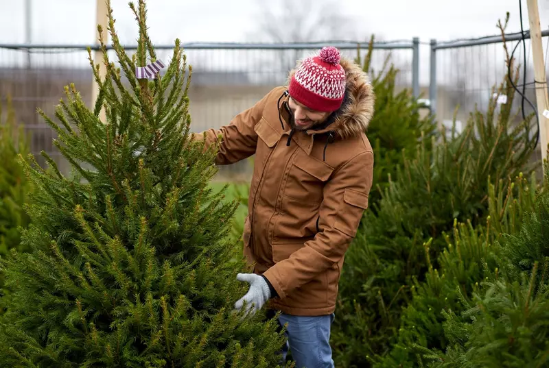 Nieuwe betekenis Groet Uitschakelen Kunstkerstboom of echte kerstboom? - Tuincentrum De Boet