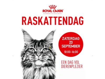 Raskattendag bij De Boet