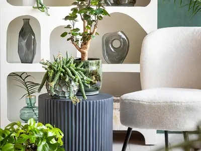 Woontrends 2026, zo maak je het extra gezellig in huis