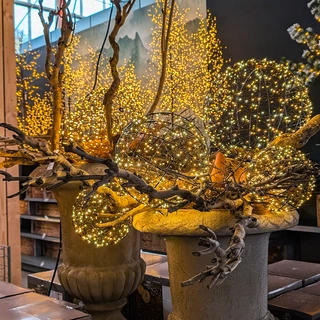 Kerstverlichting
