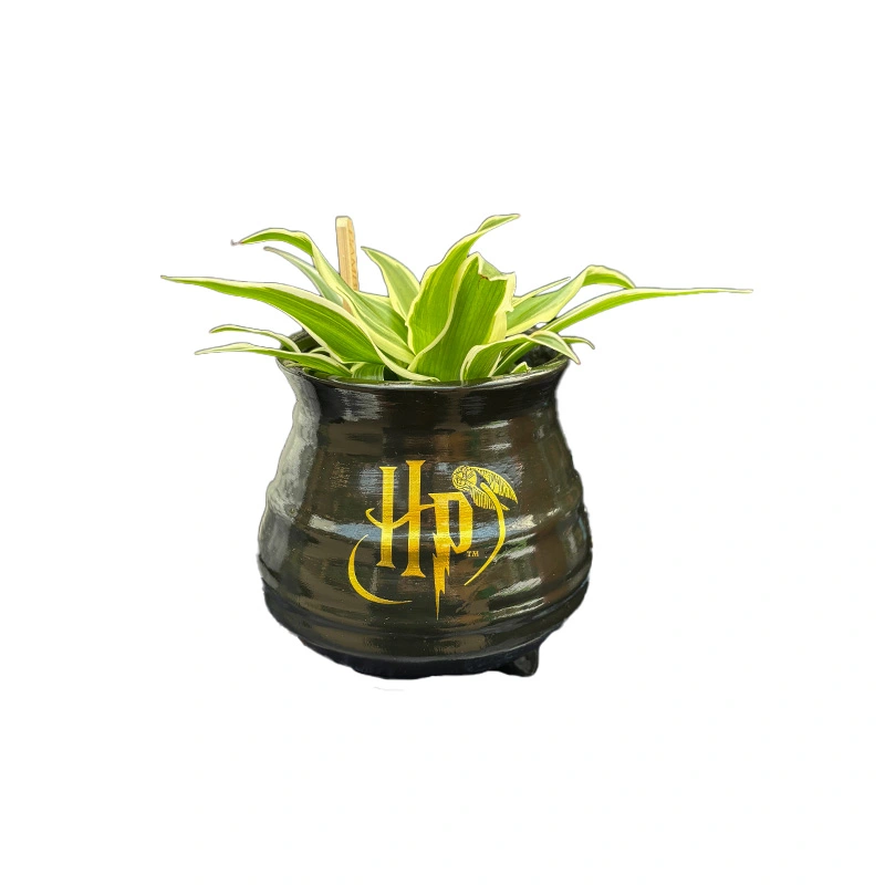 Harry Potter 3D Bloempot Ketel - Ø10x9,5 cm - afbeelding 2