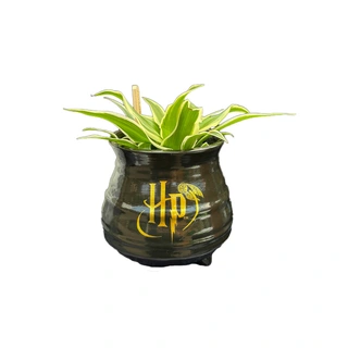 Harry Potter 3D Bloempot Ketel - Ø10x9,5 cm - afbeelding 2