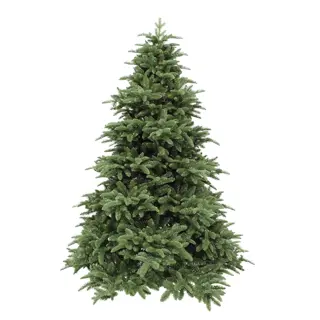 Triumph Tree Abies Nordmann Deluxe Dark Green - 185 cm | De Boet