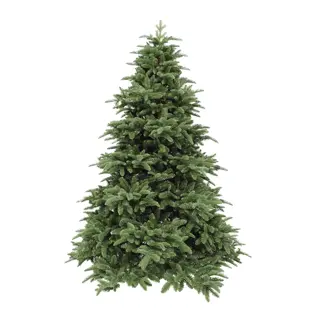 Triumph Tree Abies Nordmann Deluxe Dark Green - 260 cm | De Boet