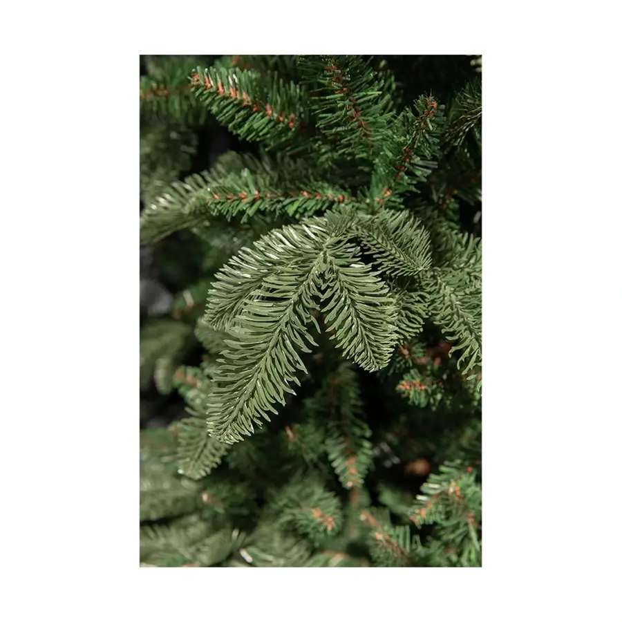 Triumph Tree Abies Nordmann Deluxe Dark Green - 260 cm - afbeelding 2