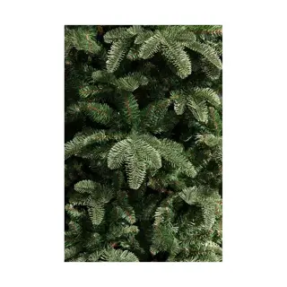 Triumph Tree Abies Nordmann Deluxe Dark Green - 260 cm - afbeelding 3