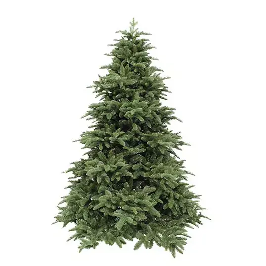 Triumph Tree Abies Nordmann Deluxe Green - 230 cm