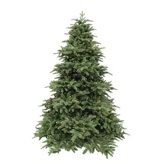 Triumph Tree Abies Nordmann Deluxe Green - 230 cm