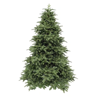 Triumph Tree Abies Nordmann Deluxe Dark Green - 155 cm