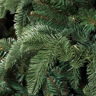 Triumph Tree Abies Nordmann Deluxe Dark Green - 155 cm - afbeelding 2