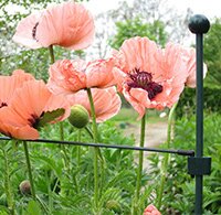 Plant accessoires
