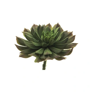 Kunstplant Aeonium Pick Groen - 15 cm