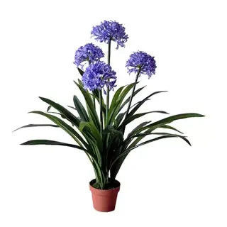 Kunstplant Agapanthus