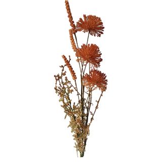 Kunst Allium 60cm roodbruin