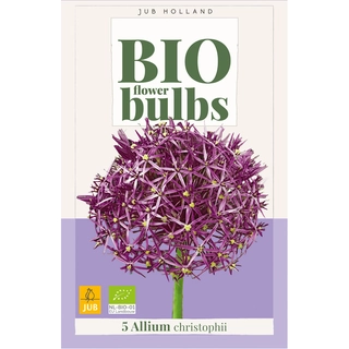 Allium Christophii Biologisch 5 st.