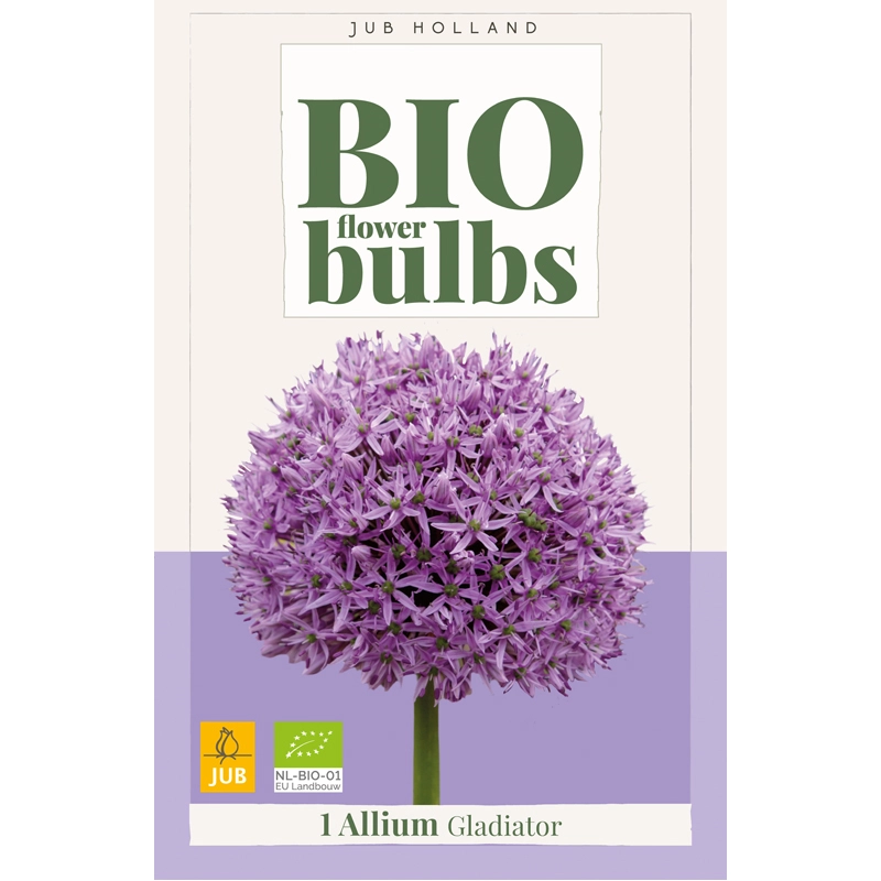 Allium Gladiator Biologisch 1 st.