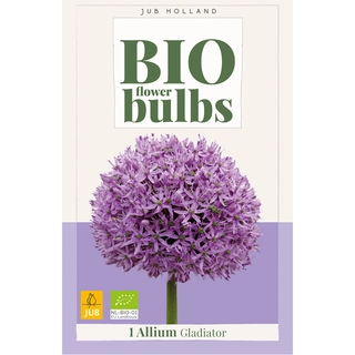 Allium Gladiator Biologisch 1 st.