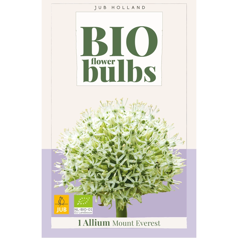 Allium Mount Everest Biologisch 1 st.