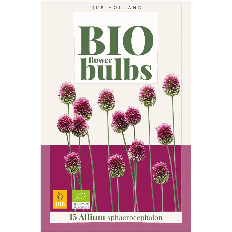 Allium Sphaerocephalon Biologisch 15 st.