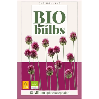 Allium Sphaerocephalon Biologisch 15 st.