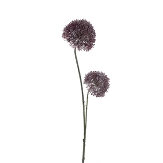 Kunstbloem Allium Bor Zwart - 76 cm