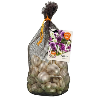 Allium Variatie Mix 40 st.