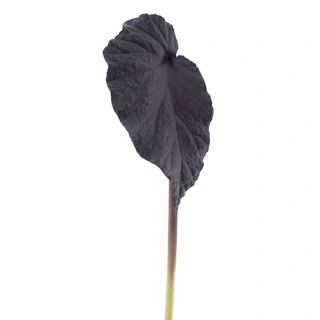 Kunsttak Alocasia leaf aubergine 58cm