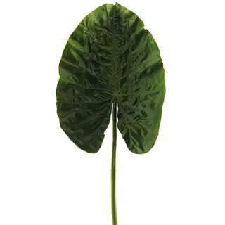 Alocasia leaf spray green 76 cm