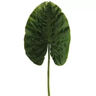 Alocasia leaf spray green 76 cm