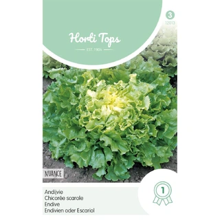 Horti Tops Andijvie Nuance koopt u bij De Boet
